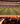 Never Give Up – Eskişehirspor