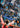 A Mighty Fall – UC Sampdoria