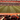 Never Give Up – Eskişehirspor